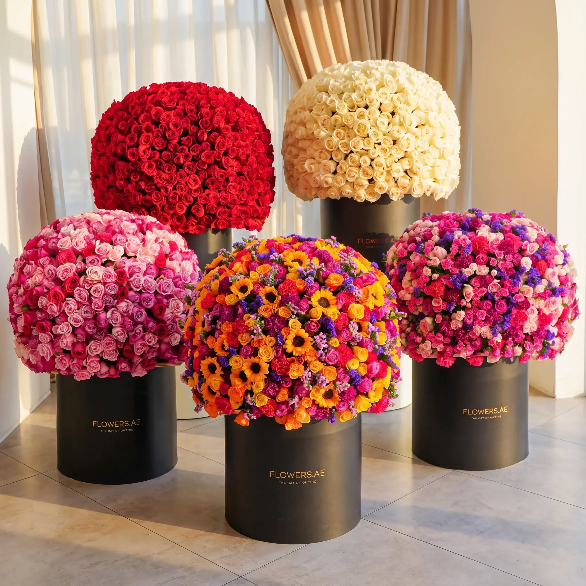 Hatbox Collection