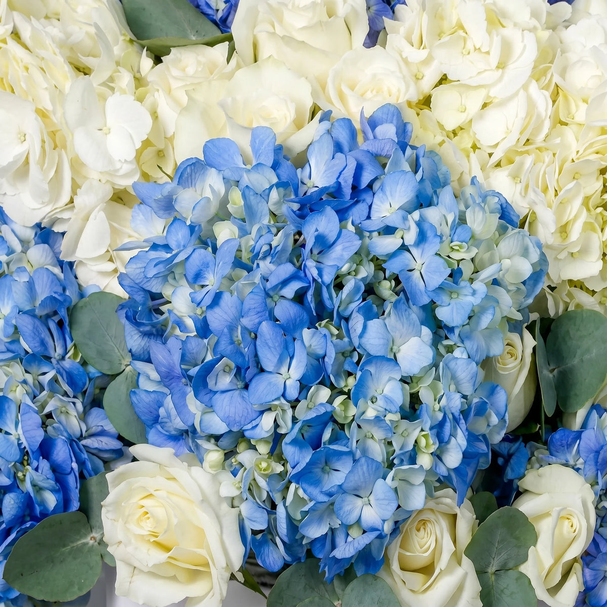 Heavenly Blues Hatbox