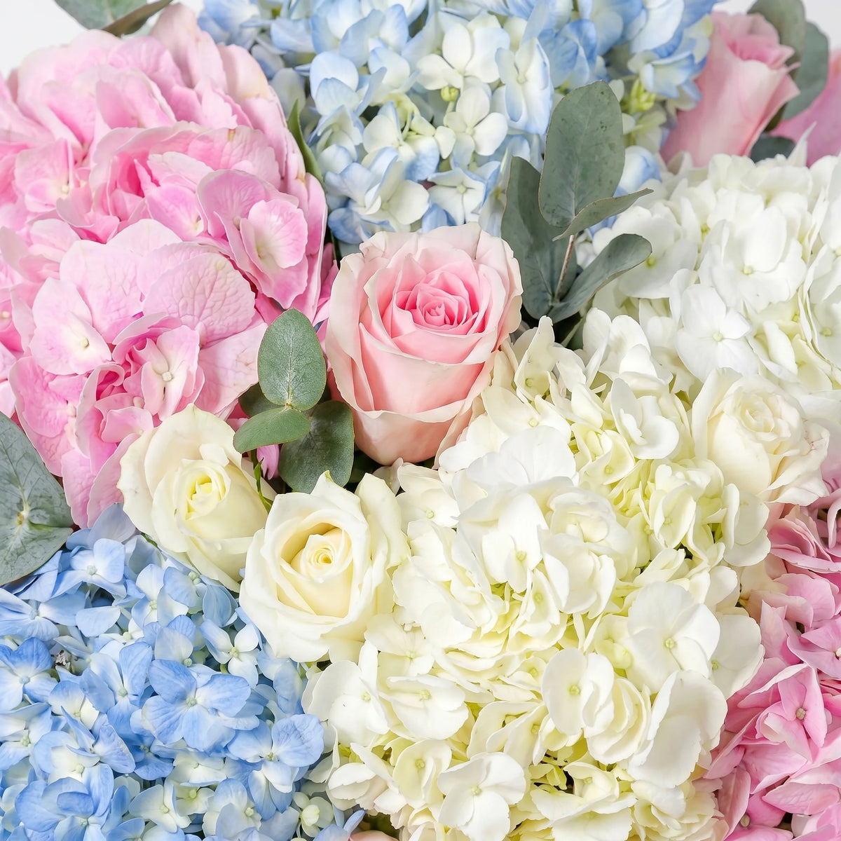 Heavenly Mixed Hatbox