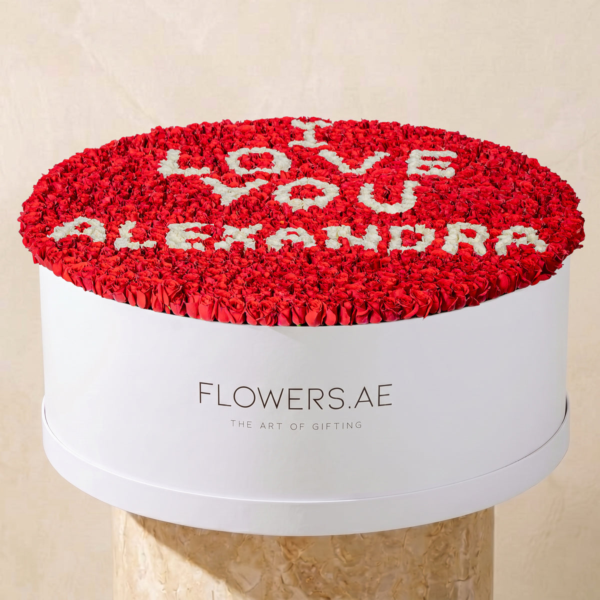 Luxury XXXL Word Hatbox