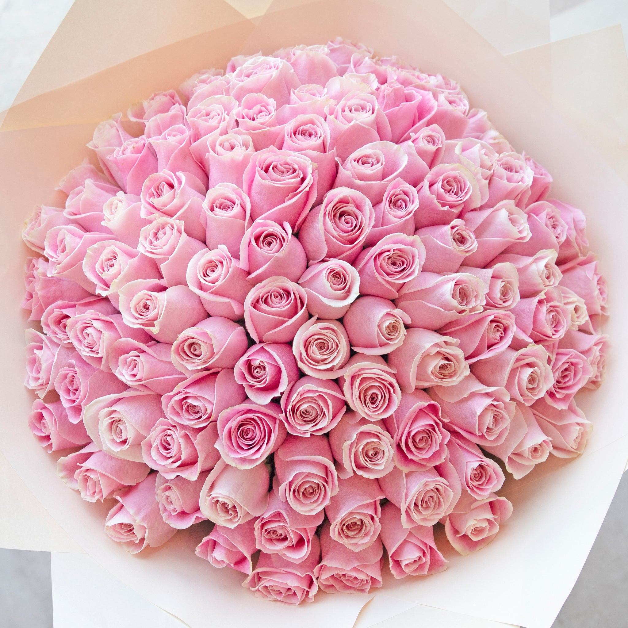 100 Pink Roses | Free Same-Day Delivery to all Emirates - Flowers.ae