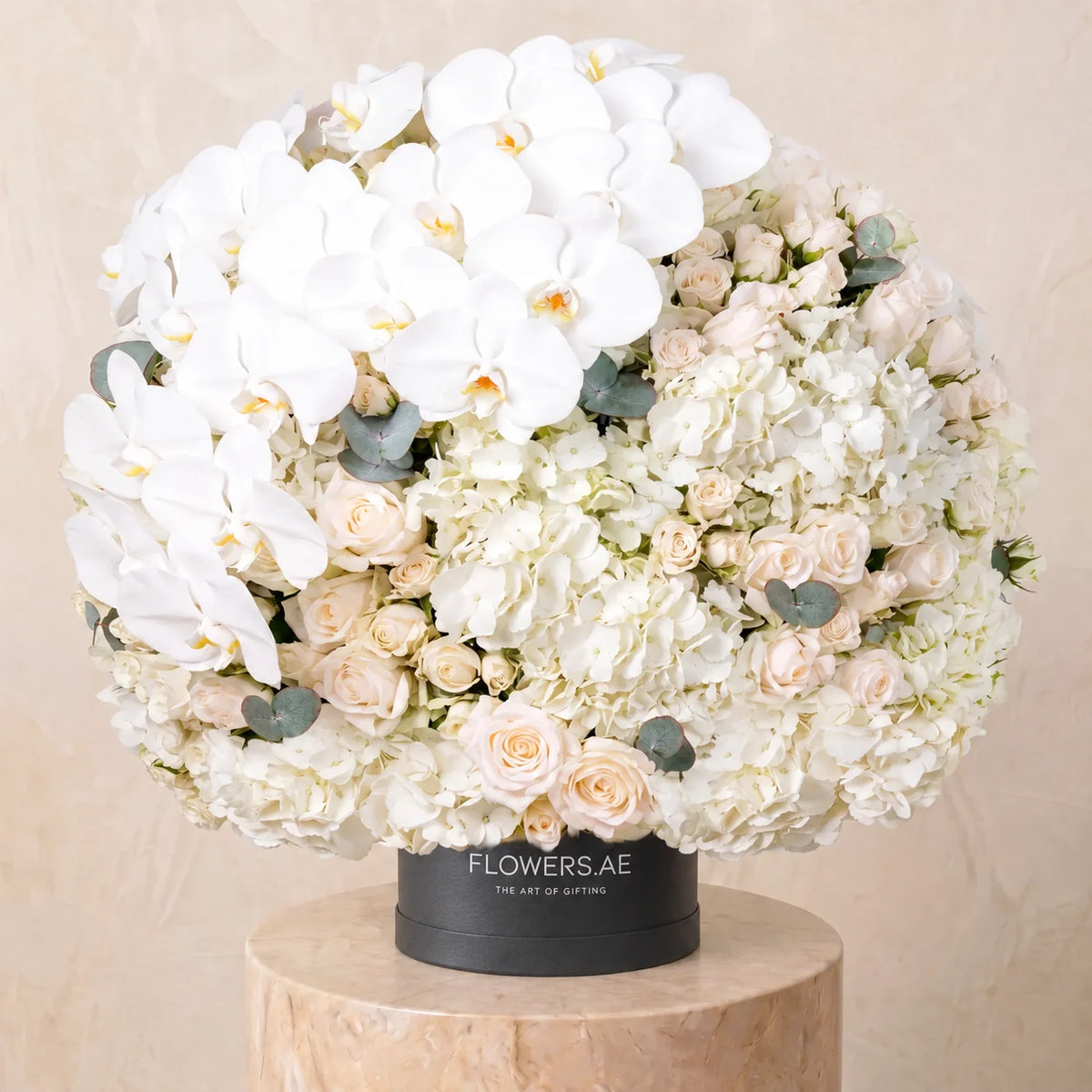 Juliette Hatbox