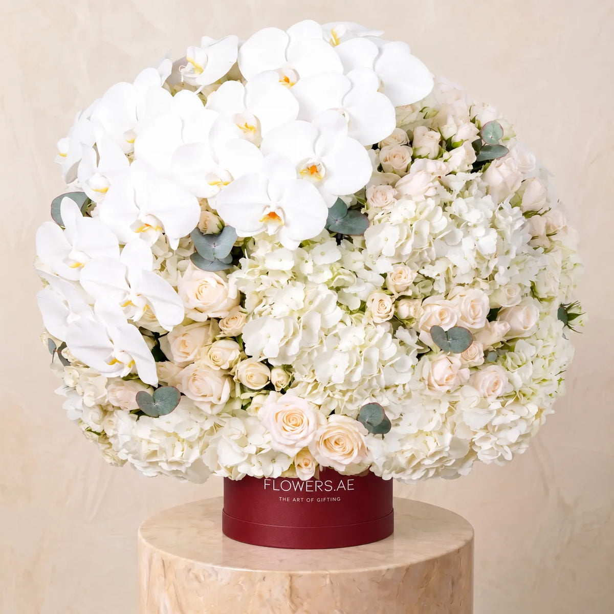 Juliette Hatbox