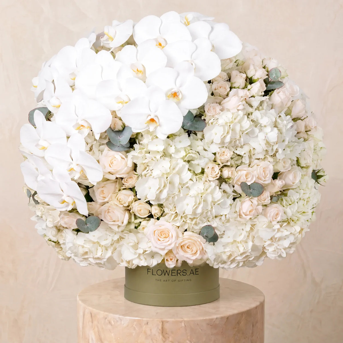 Juliette Hatbox
