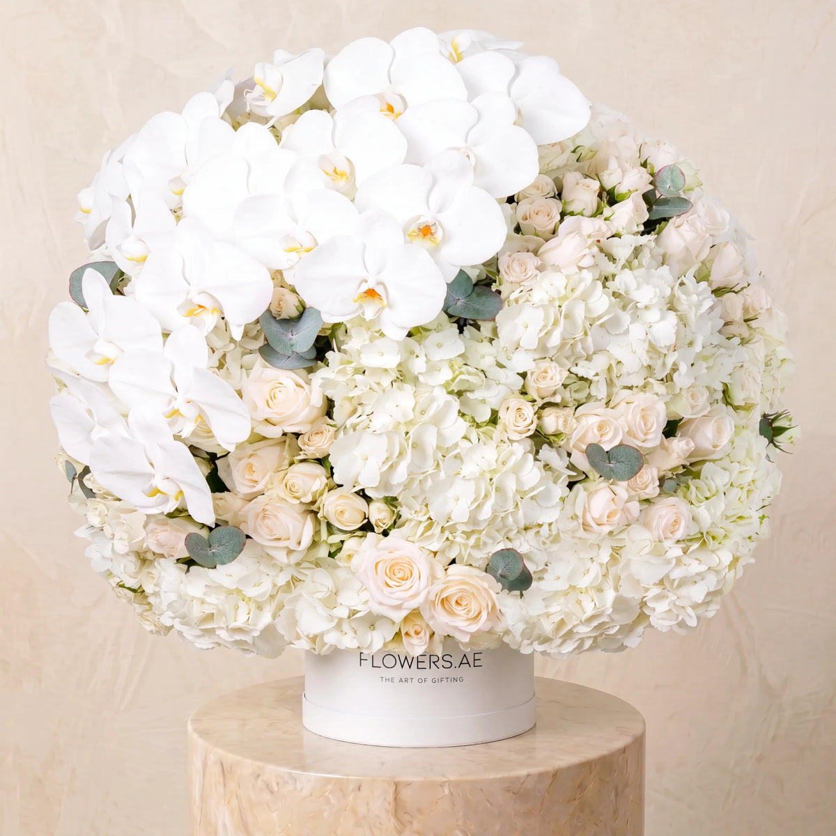 Juliette Hatbox
