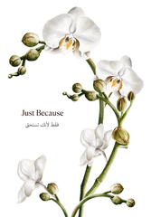 Just Because