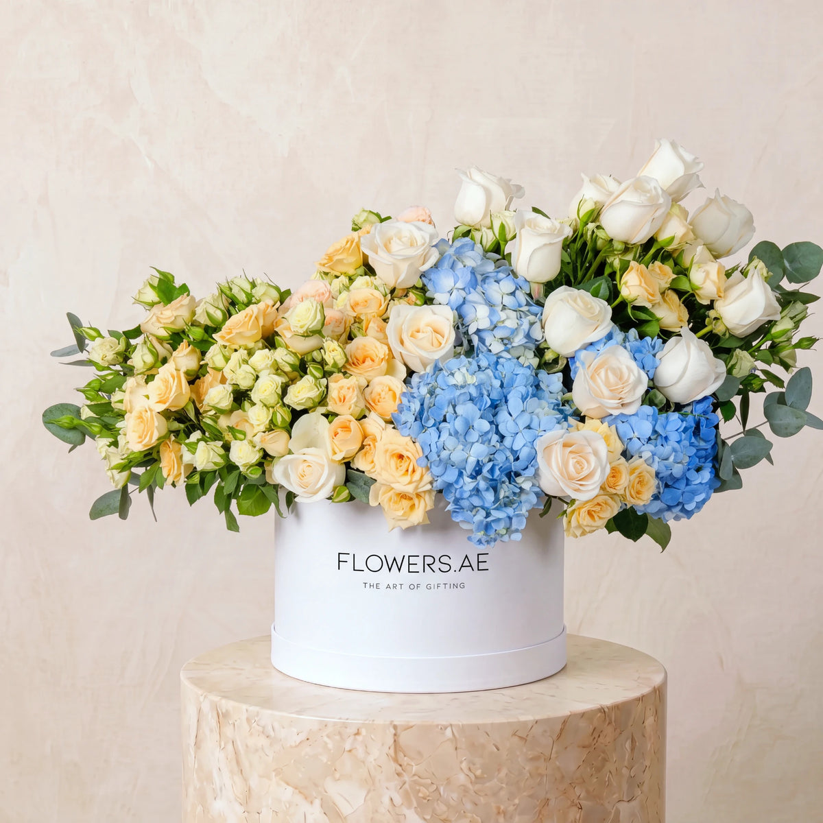 Baby Florence Pastel Hatbox