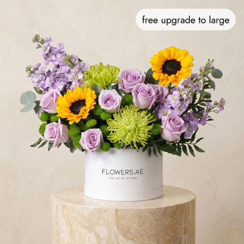 Provence Hatbox