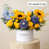 Santorini Hatbox