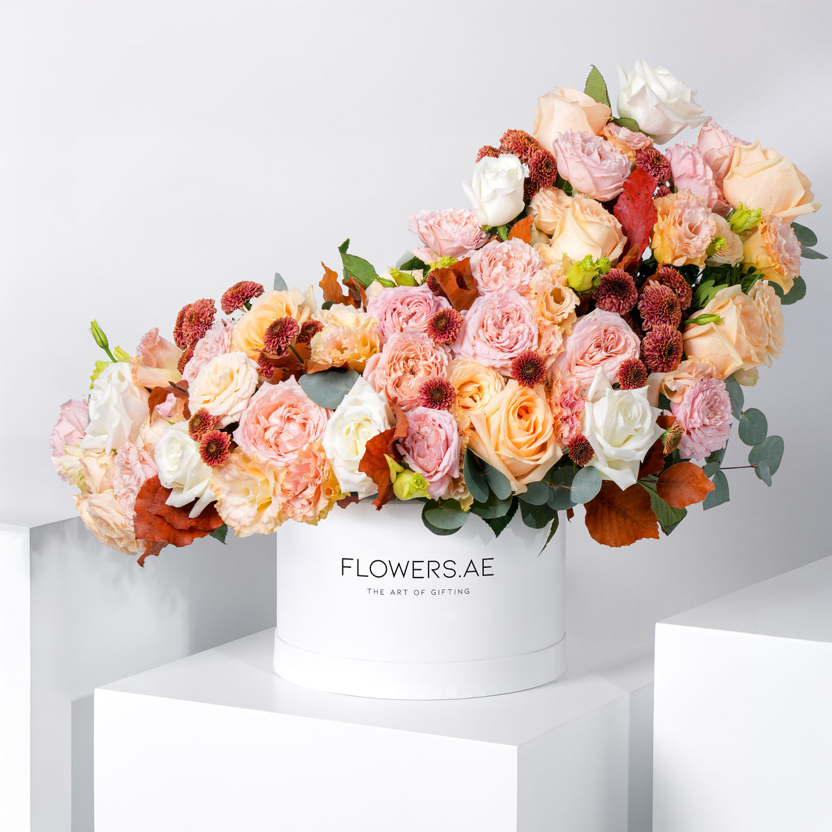 Dune Hatbox