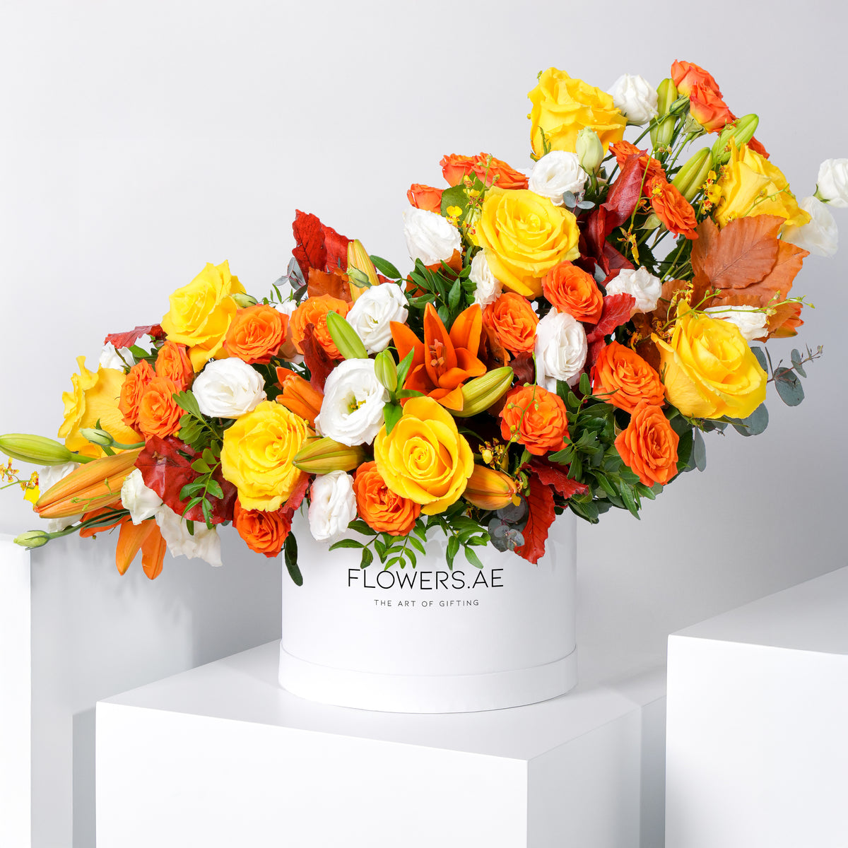 Sunset Hatbox