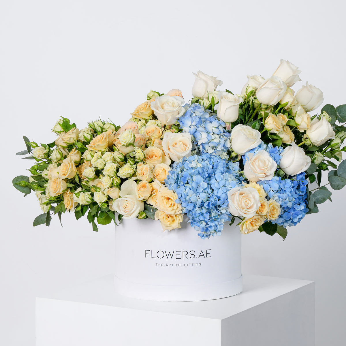 Baby Florence Pastel Hatbox