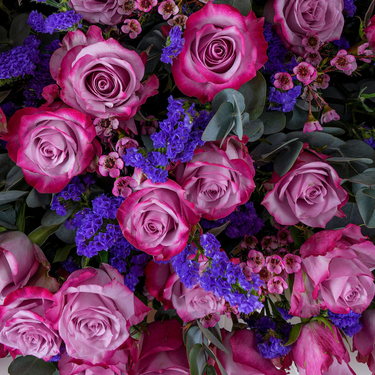 OLD Violet Grand