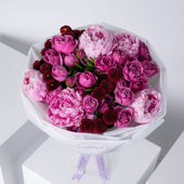Mauve Peony