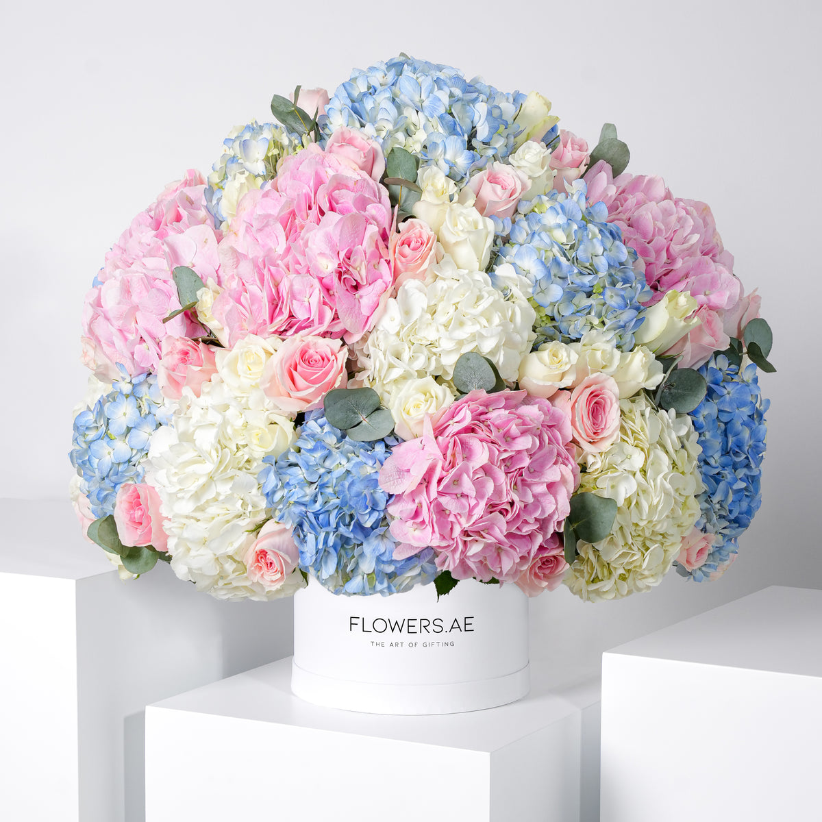 Baby Heavenly Mixed Hatbox