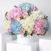 Baby Heavenly Mixed Hatbox