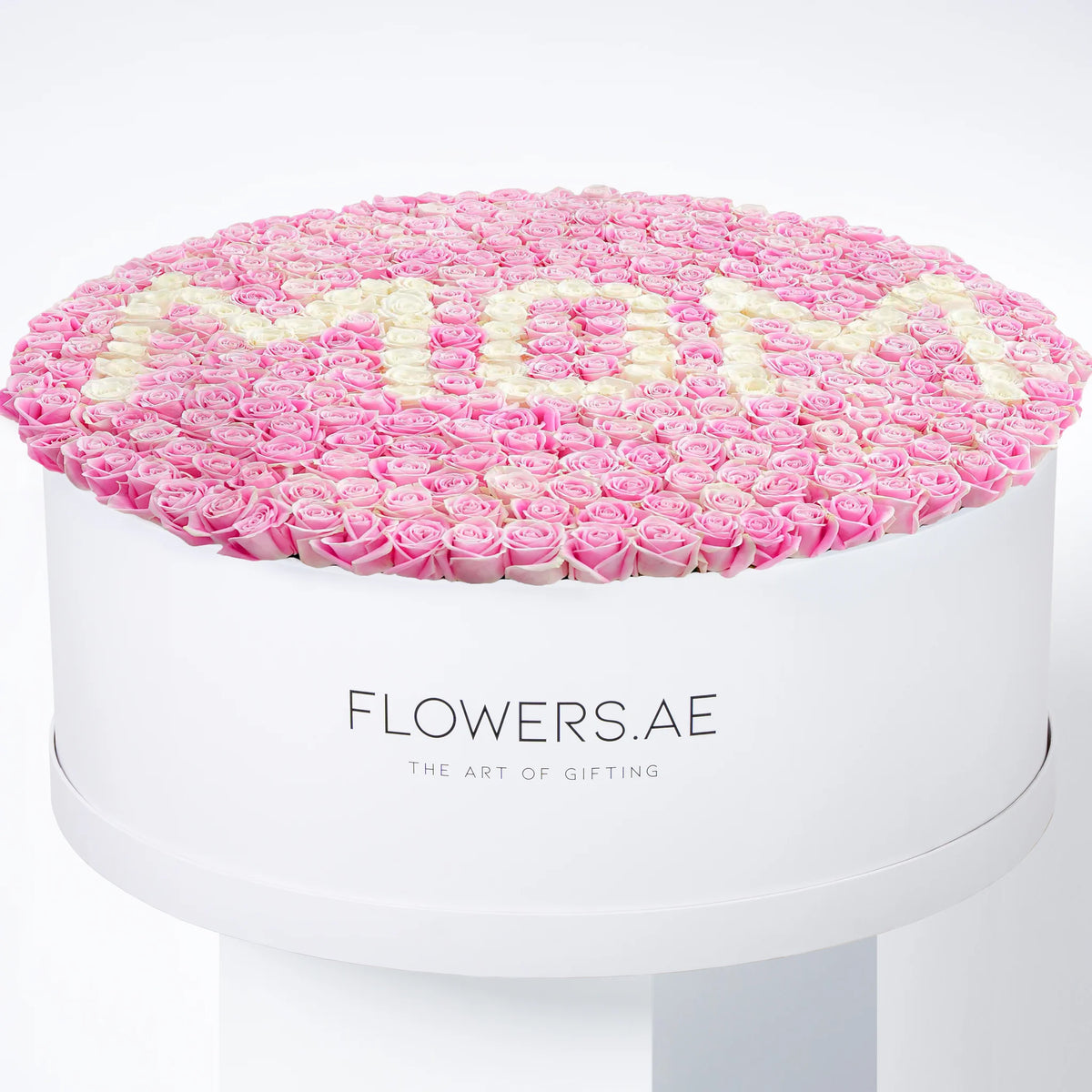 XXXL Word Hatbox