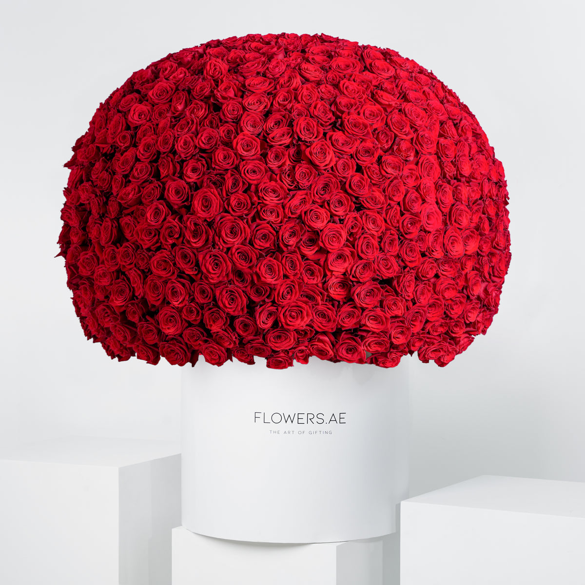 Anniversary 999 Red Roses Hatbox