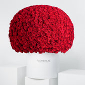 Anniversary 999 Red Roses Hatbox