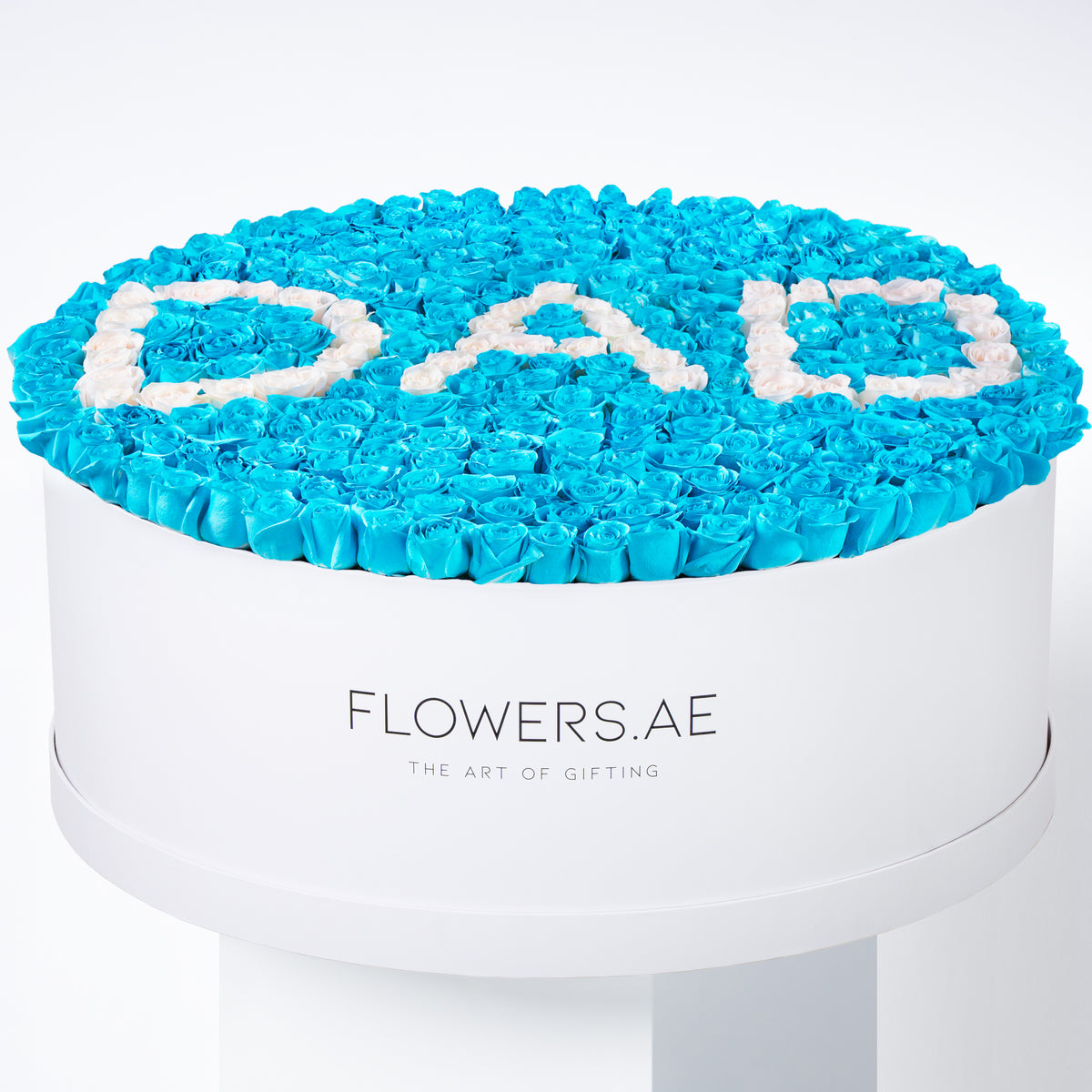 Baby XXXL DAD Hatbox