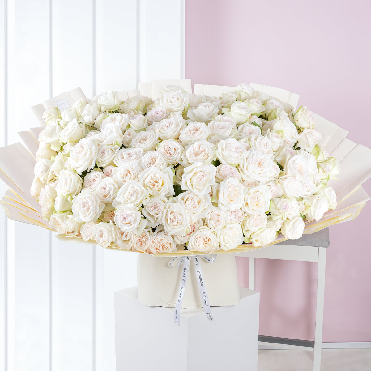 Birthday White 150 O&#39;hara Grand