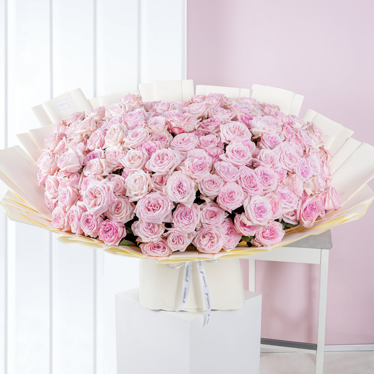 Birthday Pink 150 O&#39;hara Grand