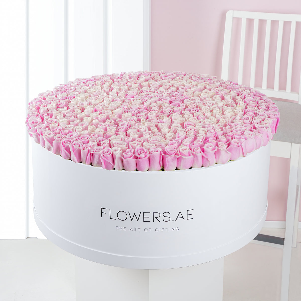 500 Pink Roses XXXL