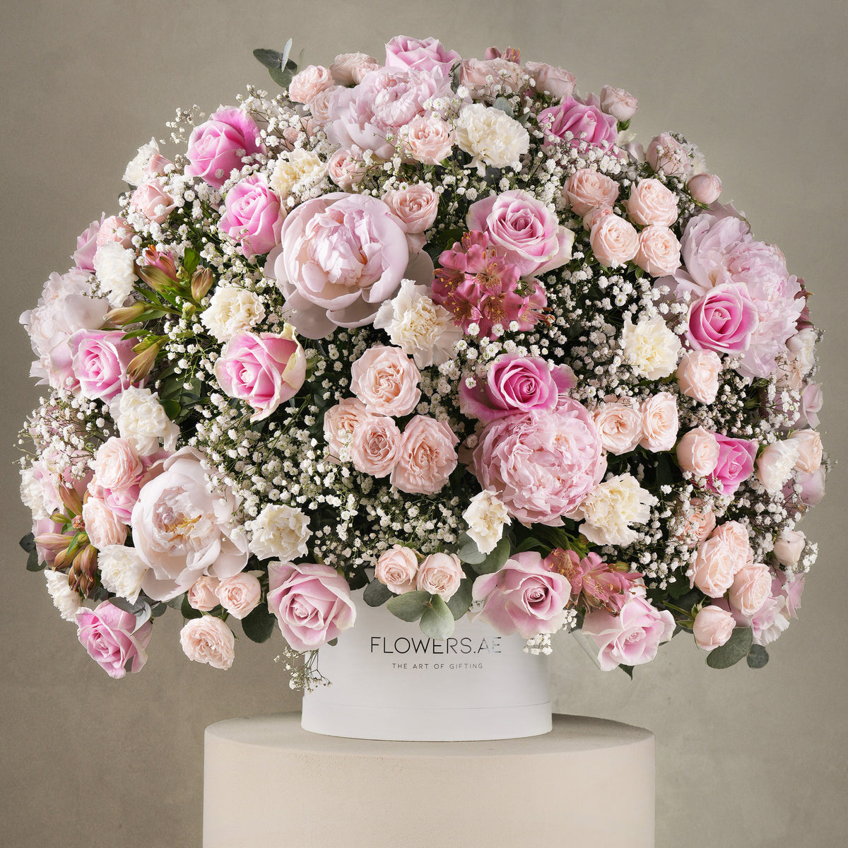Nasma Hatbox