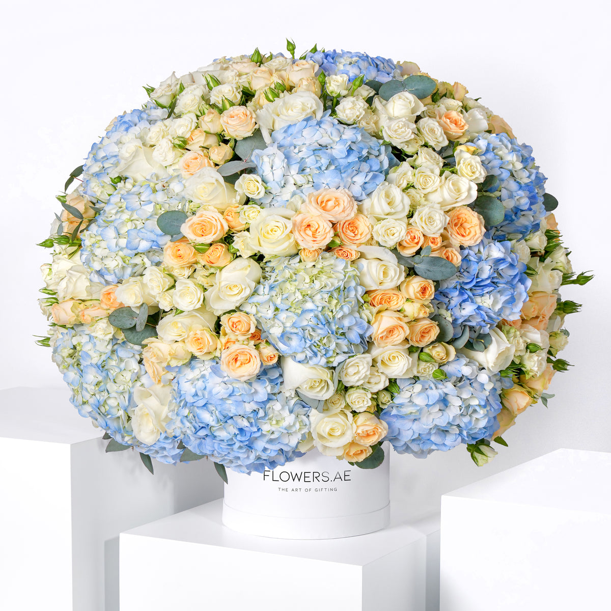 Alva Hatbox