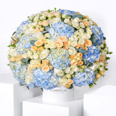 Alva Hatbox