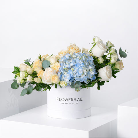 Petite Pastel Florence Hatbox