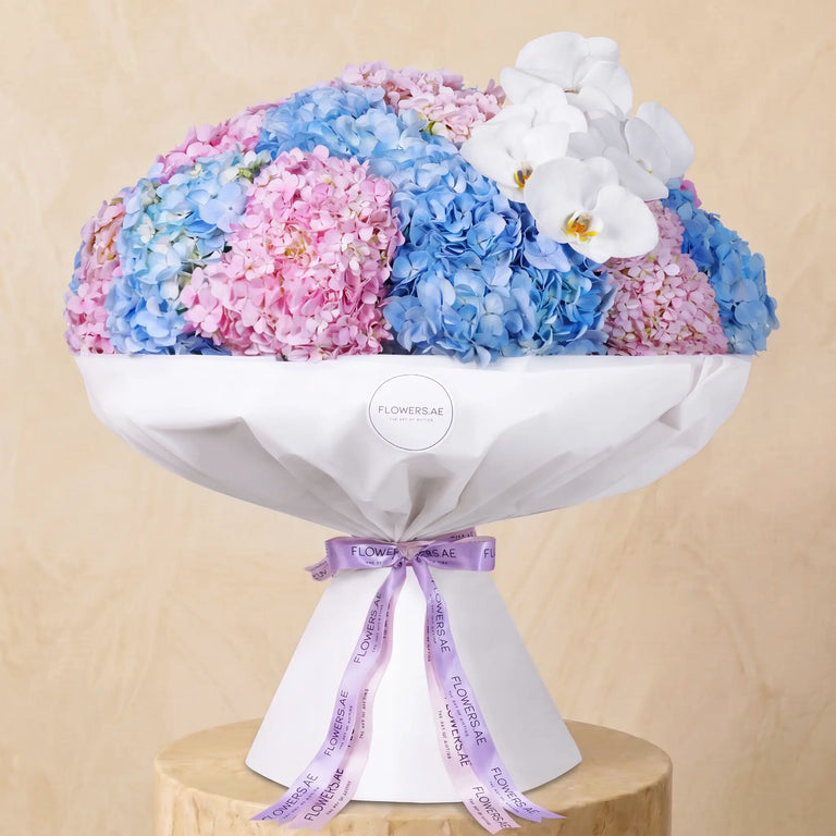 Pastel Hydrangea