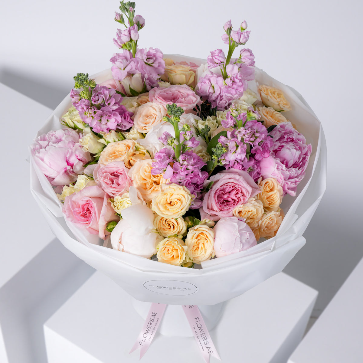 Pastel Peony
