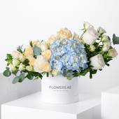 Petite Pastel Florence Hatbox