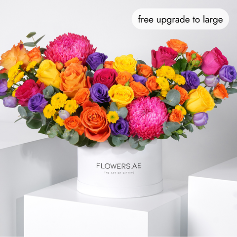 Birthday Vibrant Hatbox