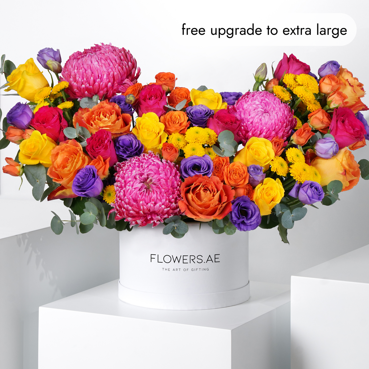 Vibrant Hatbox