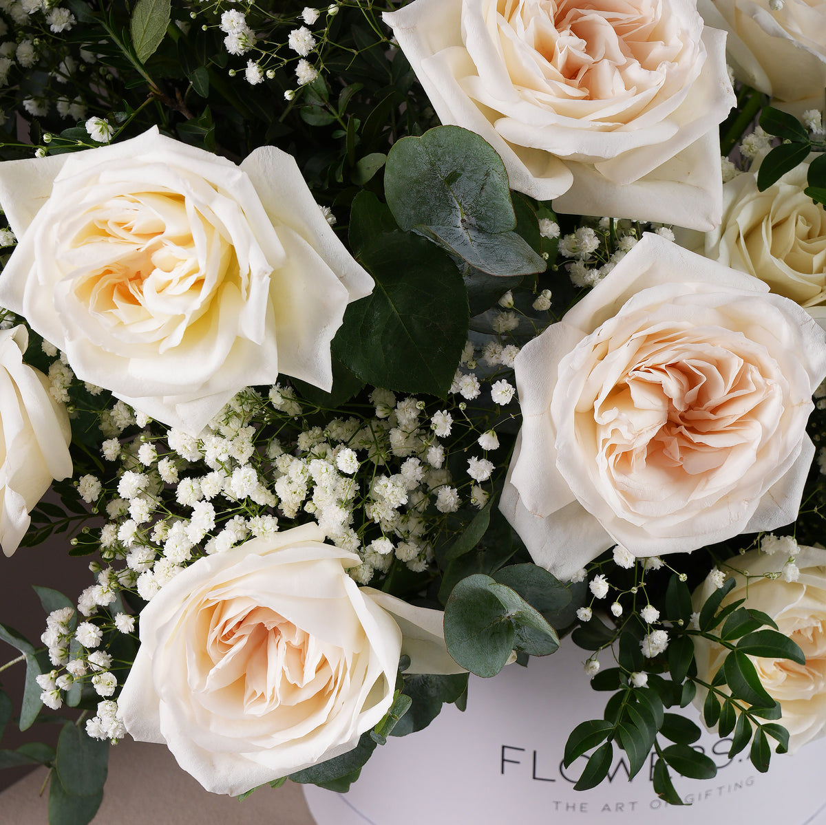 Petite Perfect White Hatbox