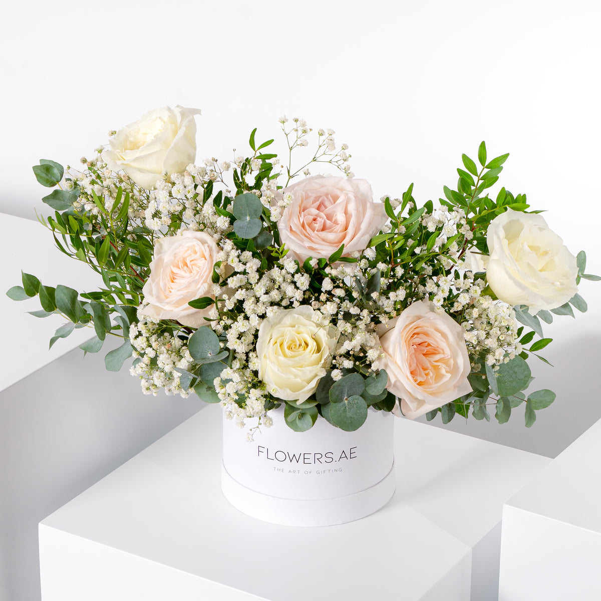 Petite Perfect White Hatbox