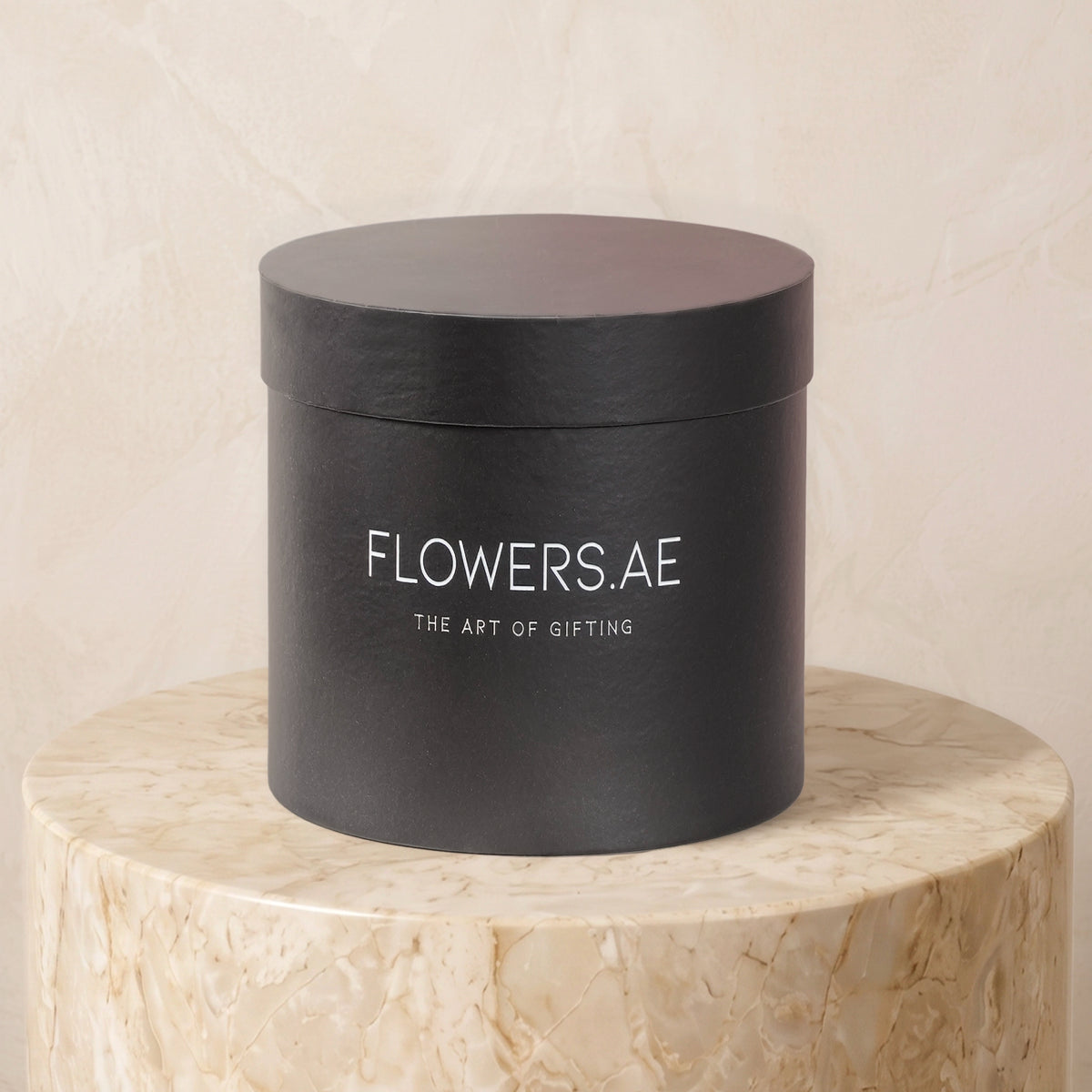 Petite Hatbox Colour