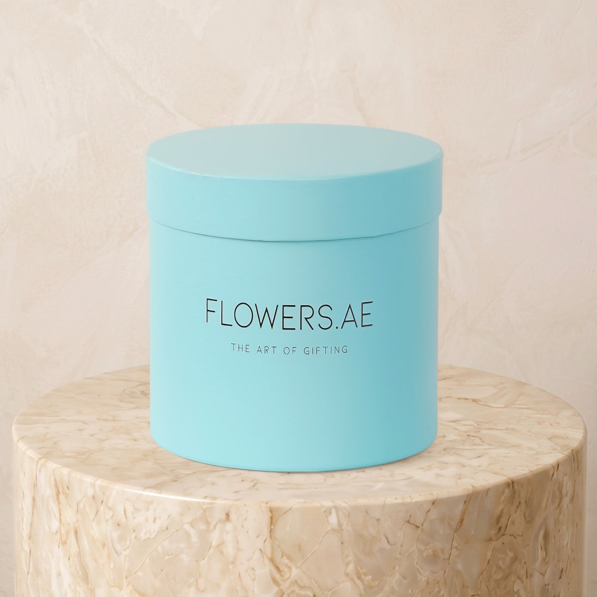 Petite Hatbox Colour