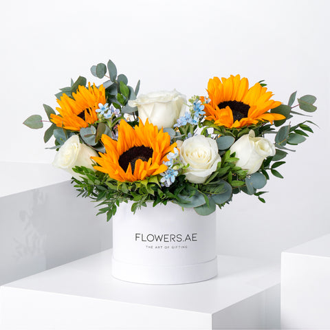 Petite Skylight Hatbox