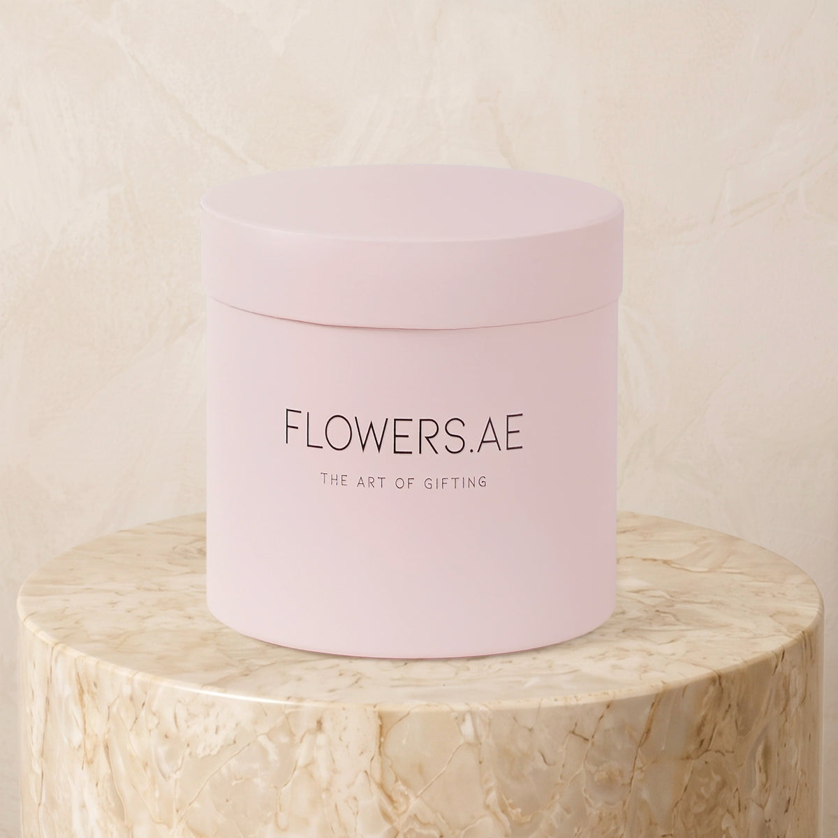Petite Hatbox Colour