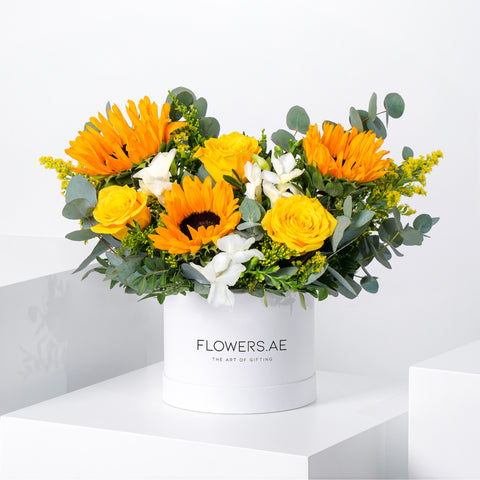 Petite Sunshine Hatbox