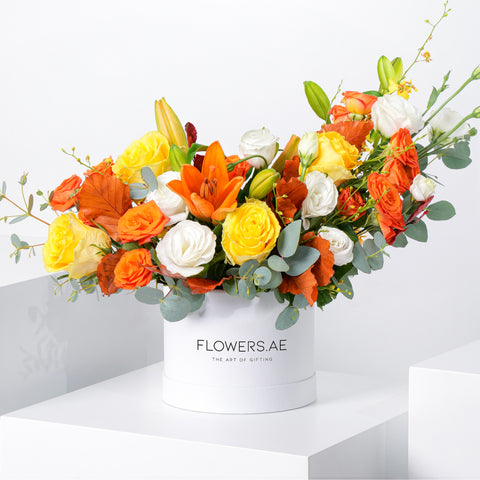 Petite Sunset Hatbox