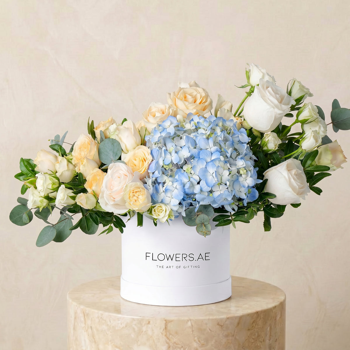 Petite Pastel Florence Hatbox