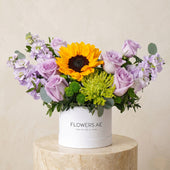 Petite Provence Hatbox