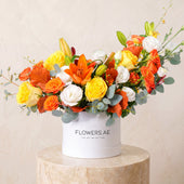 Petite Sunset Hatbox