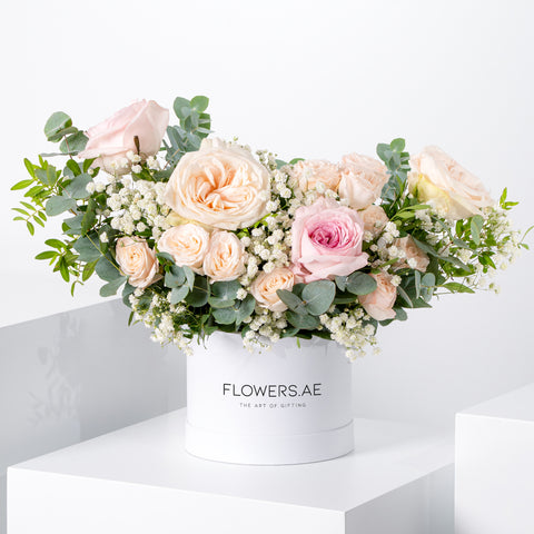 Petite Pastel Hatbox