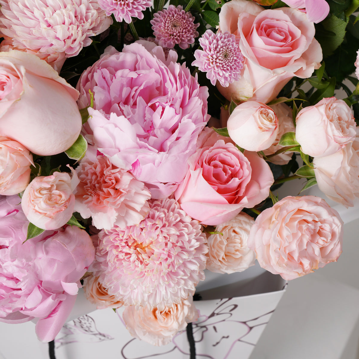 Pink Peony