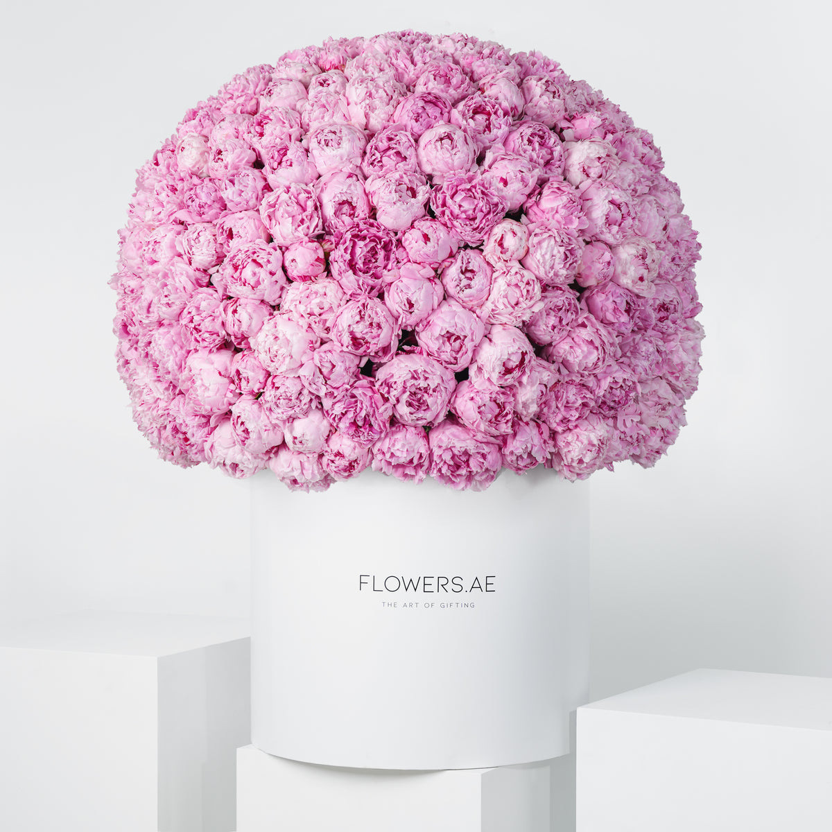 Royale Pink Peony Hatbox